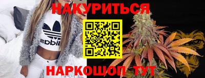 крисы Вязьма